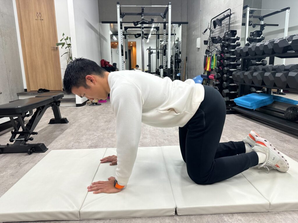 現在の画像に代替テキストがありません。ファイル名: キャットカウサンプル１.jpg